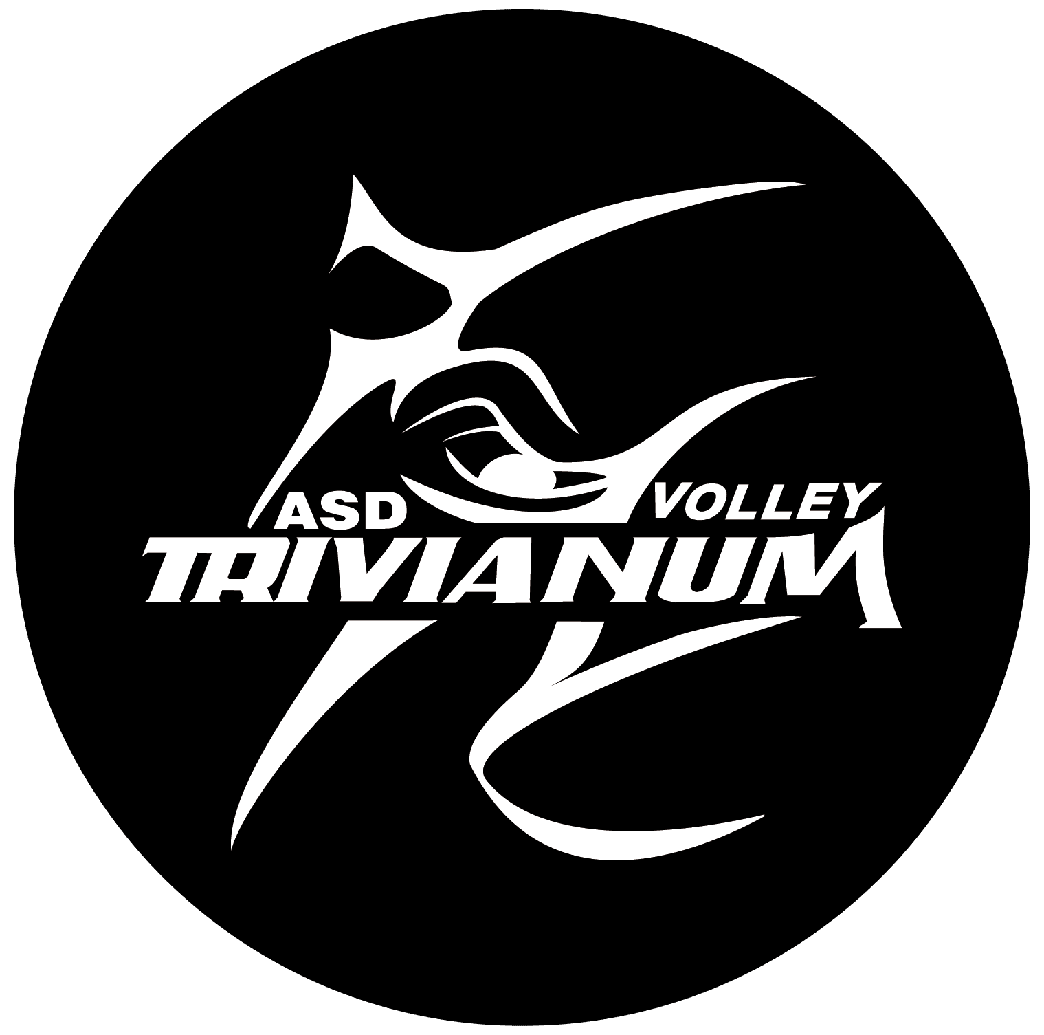 https://www.trivianum.com/wp-content/uploads/2022/09/trivianum-in-cerchio-01.png
